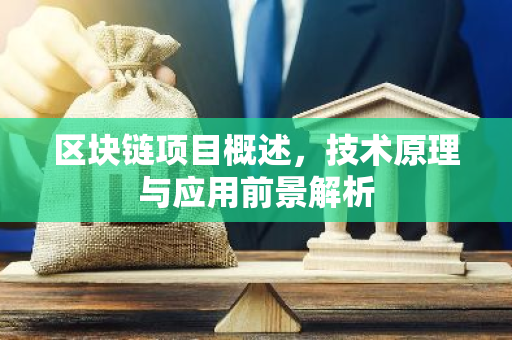 区块链项目概述，技术原理与应用前景解析