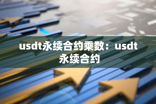 usdt永续合约乘数：usdt 永续合约