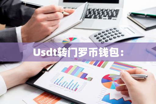 Usdt转门罗币钱包：