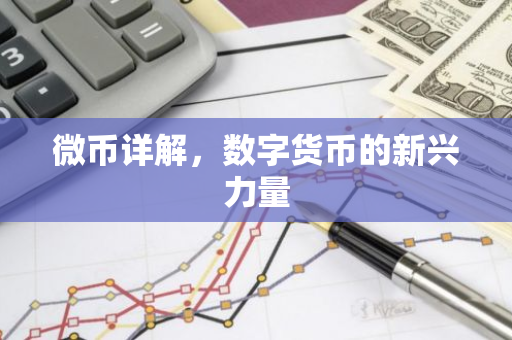 微币详解，数字货币的新兴力量