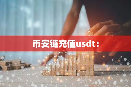 币安链充值usdt：