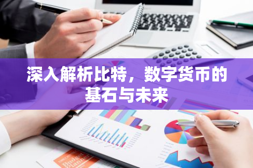 深入解析比特,数字货币的基石与未来-第1张图片-智财锋资讯网 深入解析比特,数字货币的基石与未来-第1张图片-智财锋资讯网