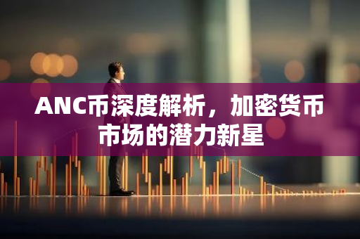 ANC币深度解析，加密货币市场的潜力新星