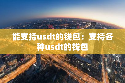能支持usdt的钱包：支持各种usdt的钱包