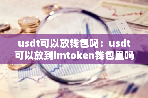 usdt可以放钱包吗：usdt可以放到imtoken钱包里吗