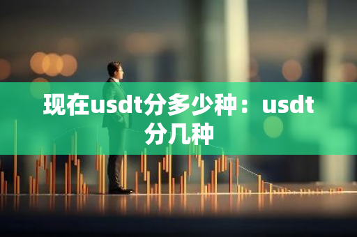 现在usdt分多少种：usdt分几种