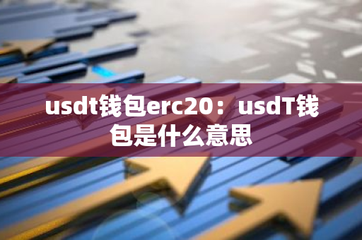 usdt钱包erc20：usdT钱包是什么意思