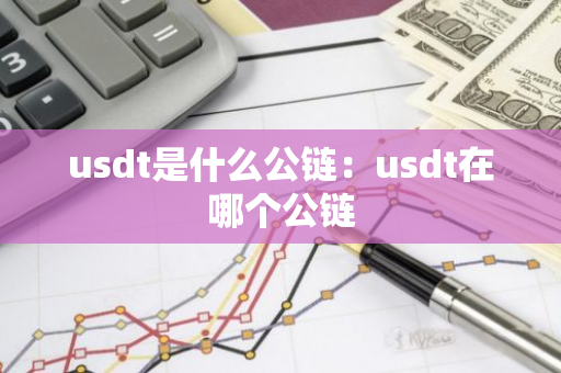 usdt是什么公链：usdt在哪个公链-第1张图片-智财锋资讯网