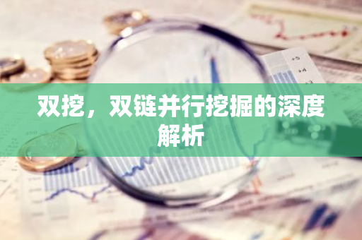 双挖，双链并行挖掘的深度解析
