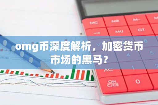 omg币深度解析，加密货币市场的黑马？