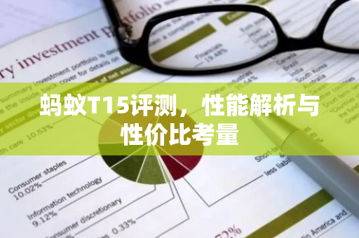 蚂蚁T15评测，性能解析与性价比考量-第1张图片-智财锋资讯网