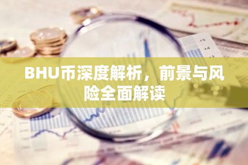 BHU币深度解析，前景与风险全面解读