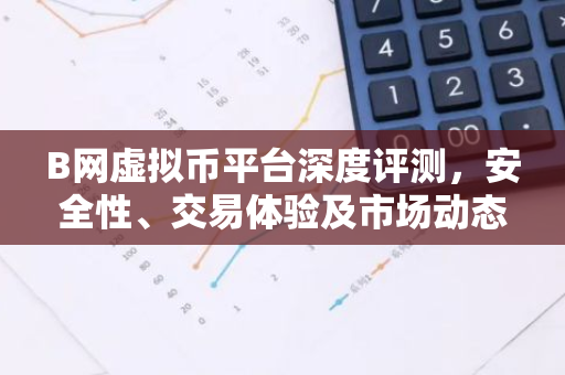 B网虚拟币平台深度评测，安全性、交易体验及市场动态-第1张图片-智财锋资讯网