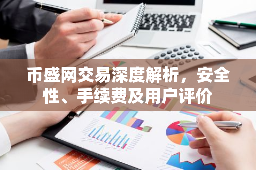 币盛网交易深度解析，安全性、手续费及用户评价