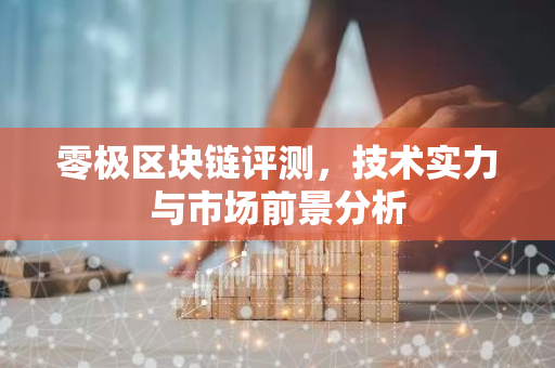 零极区块链评测，技术实力与市场前景分析