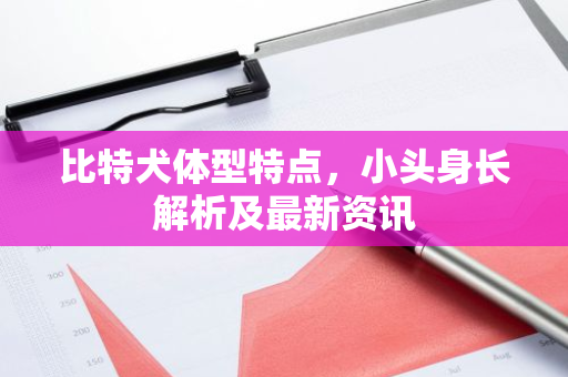 比特犬体型特点，小头身长解析及最新资讯