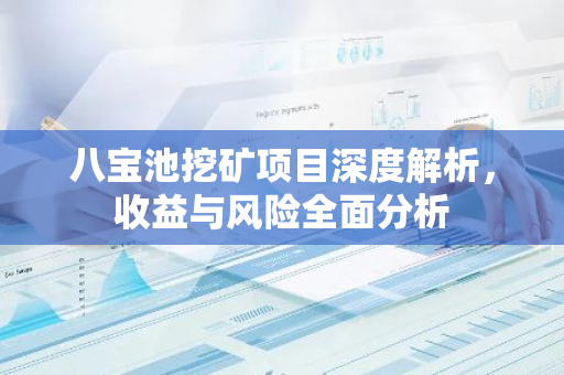 八宝池挖矿项目深度解析，收益与风险全面分析
