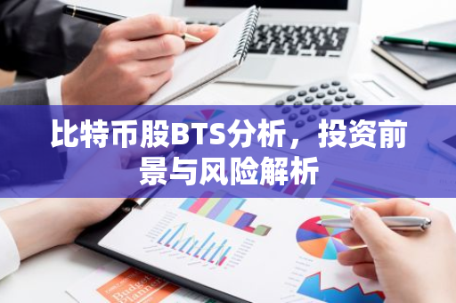比特币股BTS分析，投资前景与风险解析