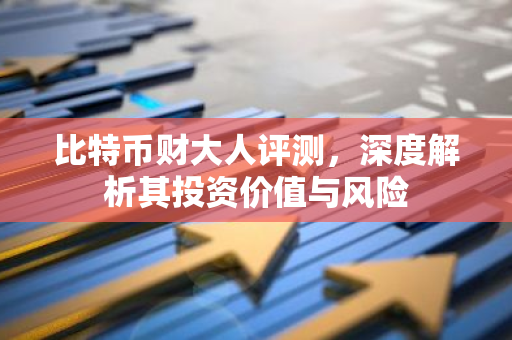 比特币财大人评测，深度解析其投资价值与风险