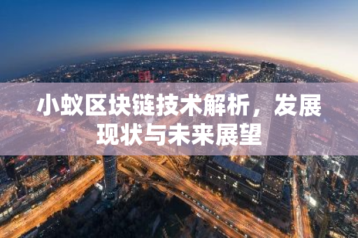 小蚁区块链技术解析，发展现状与未来展望-第1张图片-智财锋资讯网