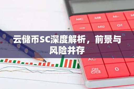云储币SC深度解析，前景与风险并存-第1张图片-智财锋资讯网