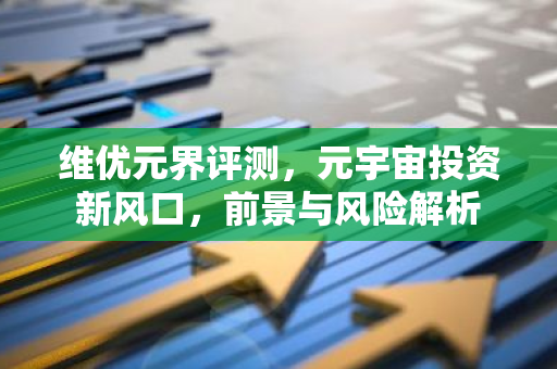 维优元界评测，元宇宙投资新风口，前景与风险解析-第1张图片-智财锋资讯网