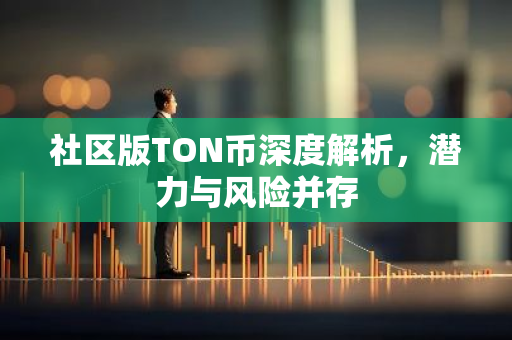 社区版TON币深度解析，潜力与风险并存