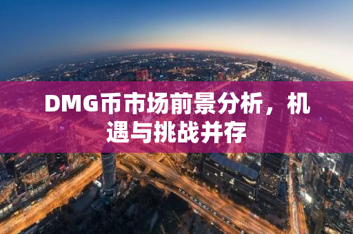 DMG币市场前景分析，机遇与挑战并存