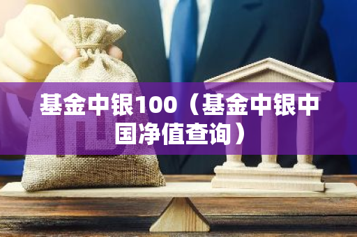 基金中银100（基金中银中国净值查询）-第1张图片-智财锋资讯网