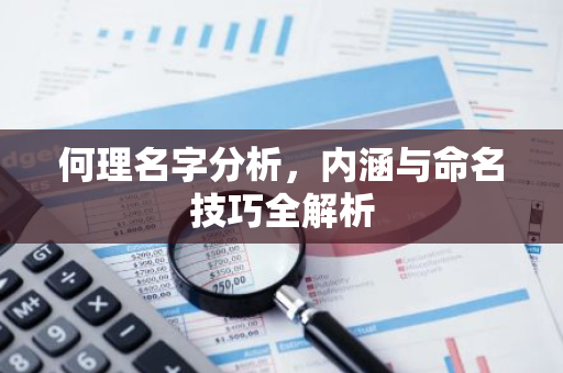 何理名字分析，内涵与命名技巧全解析-第1张图片-智财锋资讯网