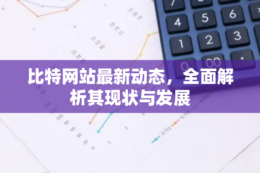 比特网站最新动态，全面解析其现状与发展