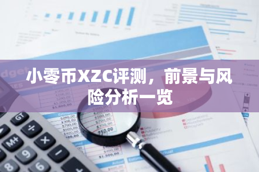 小零币XZC评测，前景与风险分析一览