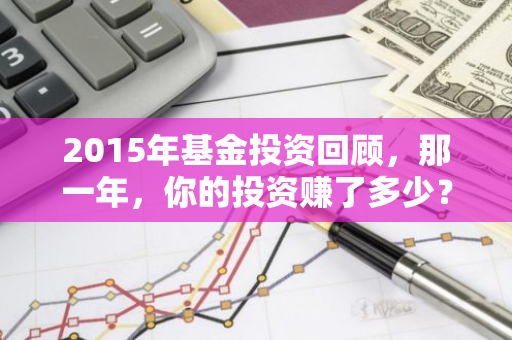 2015年基金投资回顾，那一年，你的投资赚了多少？-第1张图片-智财锋资讯网