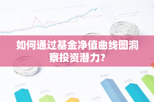 如何通过基金净值曲线图洞察投资潜力？-第1张图片-智财锋资讯网