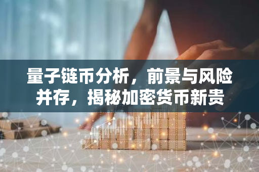 量子链币分析，前景与风险并存，揭秘加密货币新贵-第1张图片-智财锋资讯网