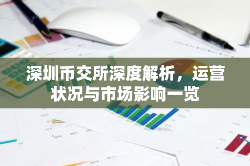 深圳币交所深度解析，运营状况与市场影响一览