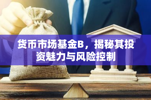 货币市场基金B，揭秘其投资魅力与风险控制-第1张图片-智财锋资讯网