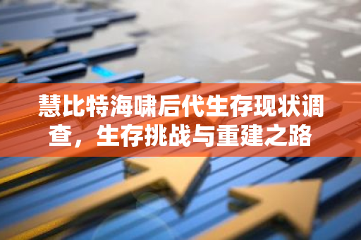 慧比特海啸后代生存现状调查，生存挑战与重建之路