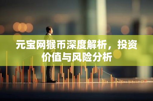 元宝网猴币深度解析，投资价值与风险分析
