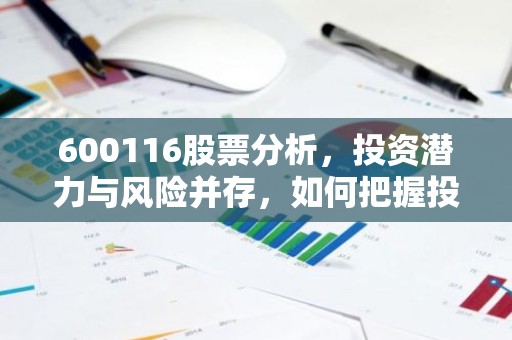 600116股票分析，投资潜力与风险并存，如何把握投资机会？-第1张图片-智财锋资讯网
