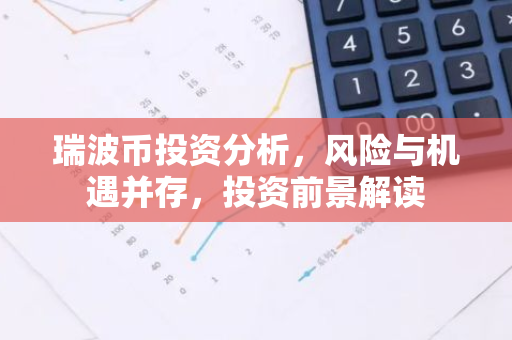 瑞波币投资分析，风险与机遇并存，投资前景解读