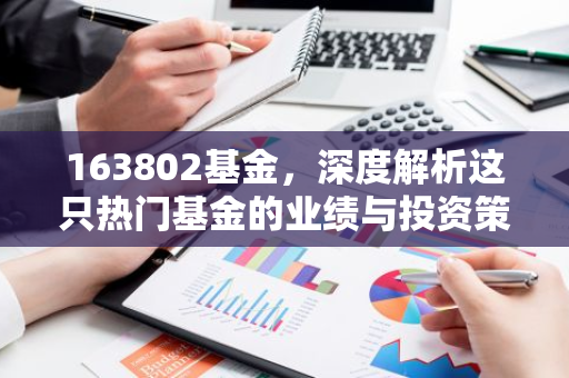 163802基金，深度解析这只热门基金的业绩与投资策略-第1张图片-智财锋资讯网