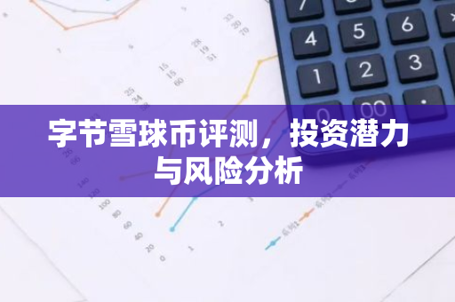 字节雪球币评测，投资潜力与风险分析-第1张图片-智财锋资讯网