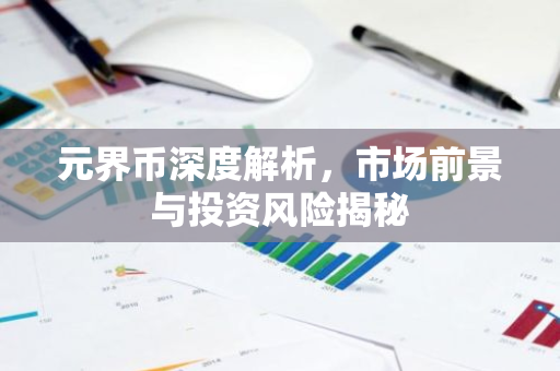元界币深度解析，市场前景与投资风险揭秘