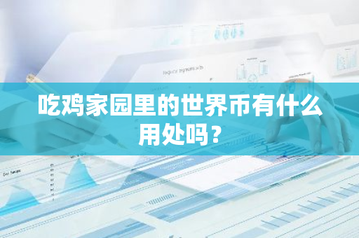吃鸡家园里的世界币有什么用处吗？