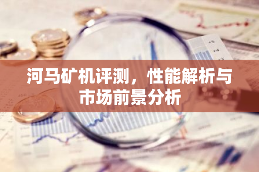 河马矿机评测，性能解析与市场前景分析