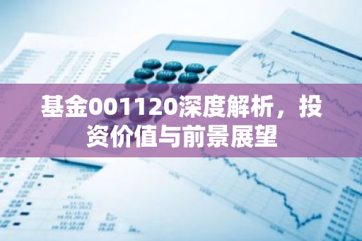 基金001120深度解析，投资价值与前景展望-第1张图片-智财锋资讯网