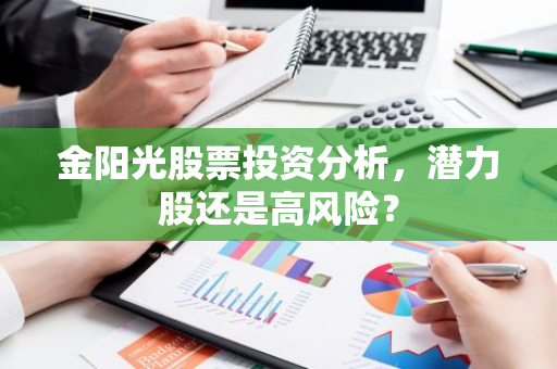 金阳光股票投资分析，潜力股还是高风险？-第1张图片-智财锋资讯网