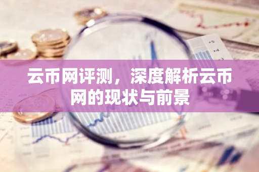 云币网评测，深度解析云币网的现状与前景