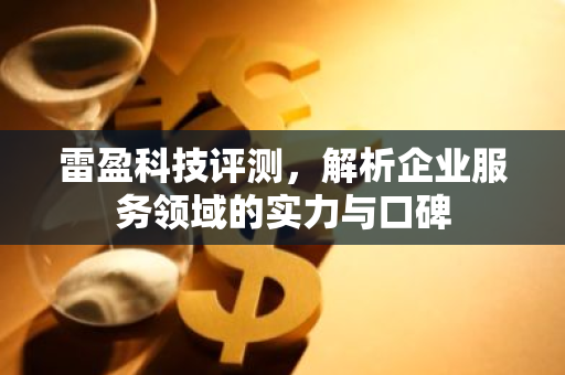 雷盈科技评测，解析企业服务领域的实力与口碑